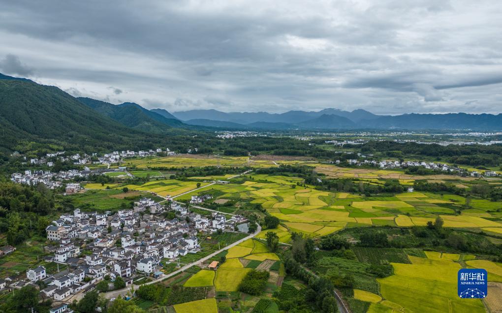 天游线路检测中心